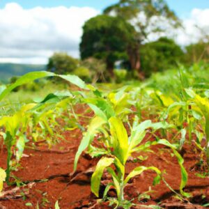 A Importância da Produção Sustentável das Plantas no Combate às Mudanças Climáticas