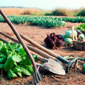 Produção Sustentável das Plantas: Manejo Integrado de Pragas e Doenças
