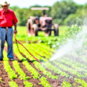 A Importância da Agricultura Sustentável para Preservar as Futuras Gerações