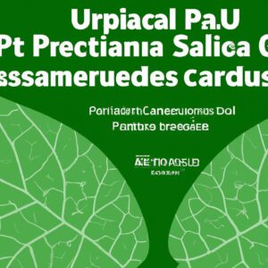 O Papel das Universidades na Disseminação da Produção Sustentável das Plantas