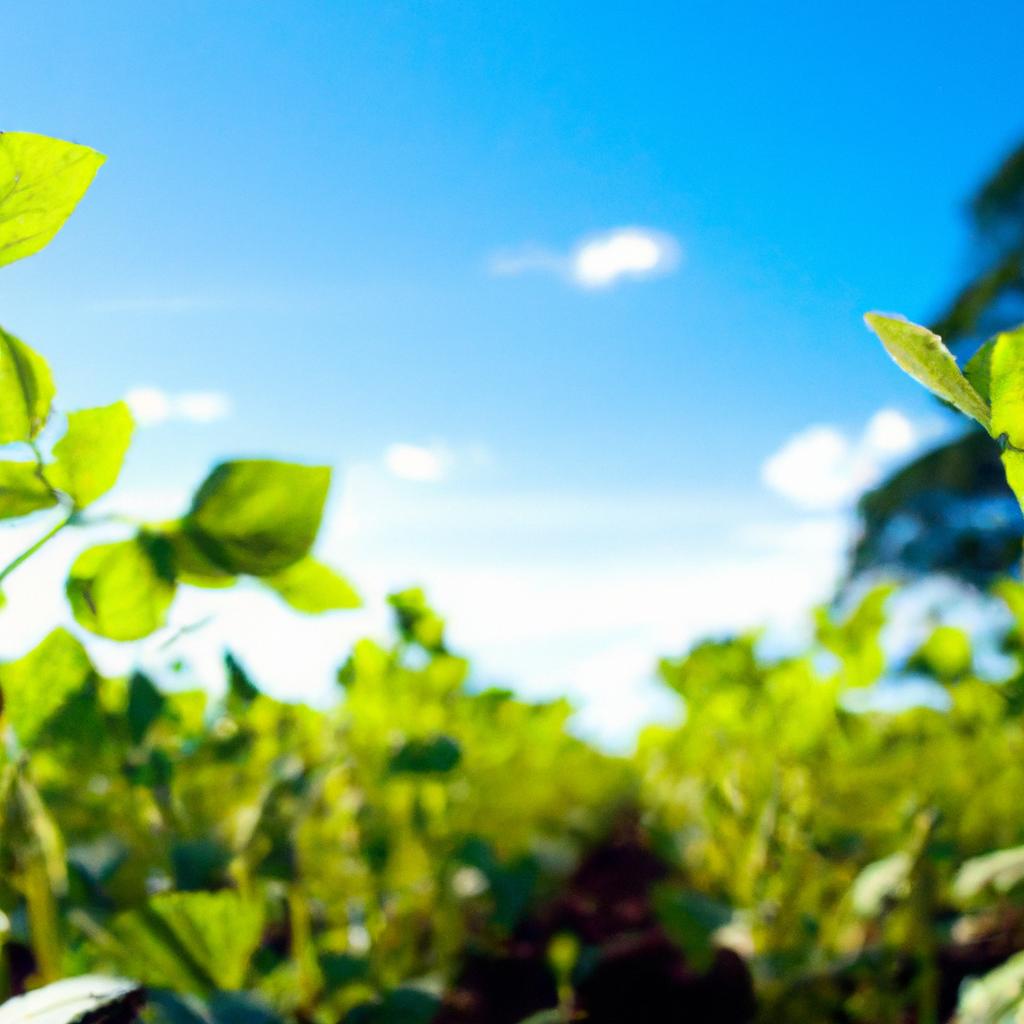 Benefícios ambientais da prática da agricultura sustentável